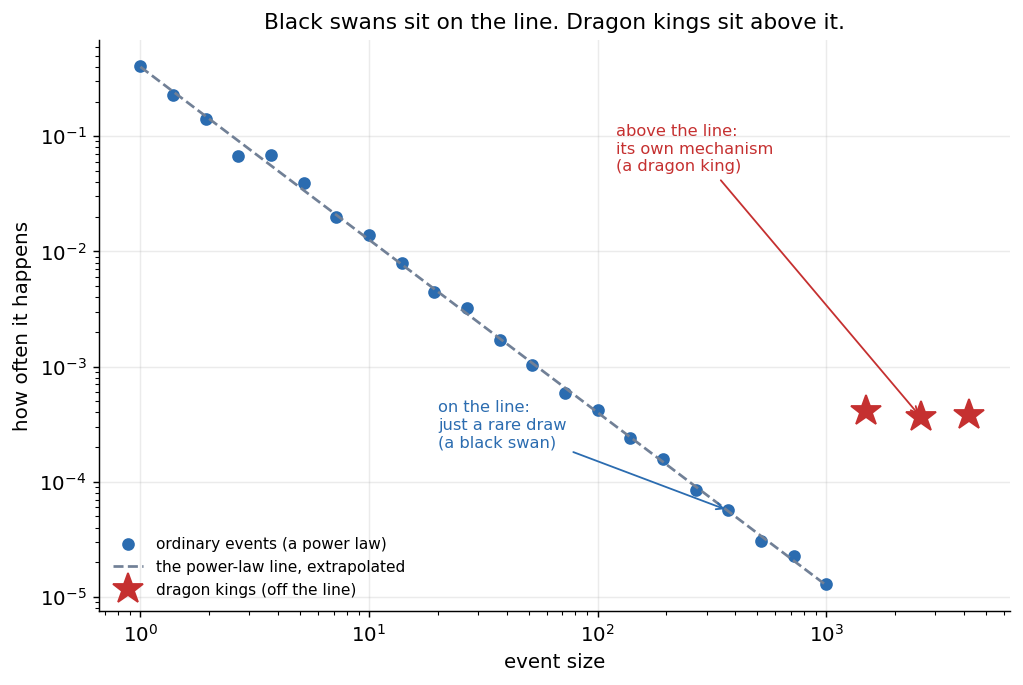 A log-log plot of event size against how often it happens. Most points fall on a straight power-law line and are labeled black swans, just rare draws. A few large points sit well above the extrapolated line and are labeled dragon kings, with their own mechanism.