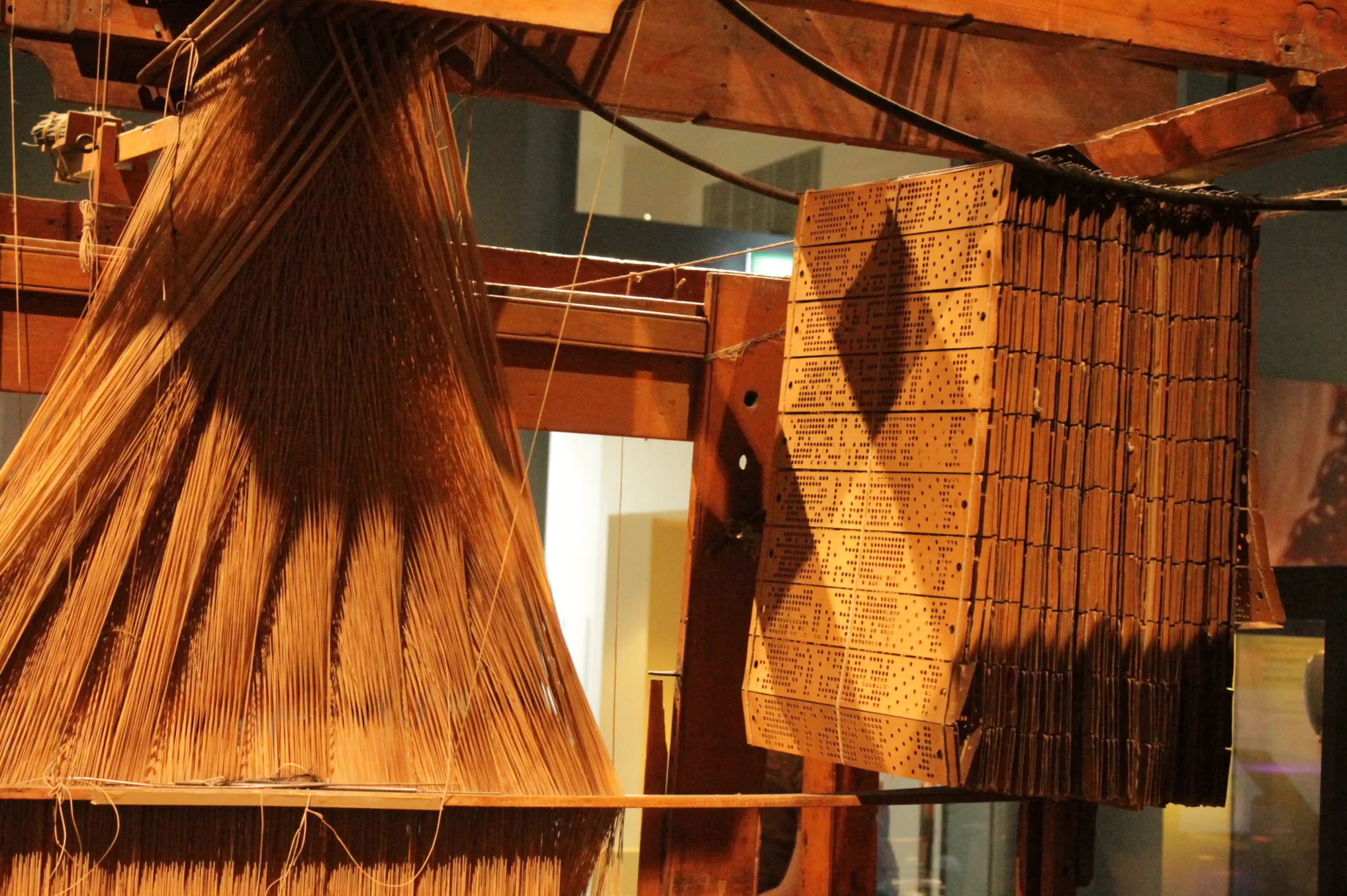 A wooden Jacquard loom with hundreds of taut threads fanning down on the left and a long chain of punched wooden cards hanging on the right