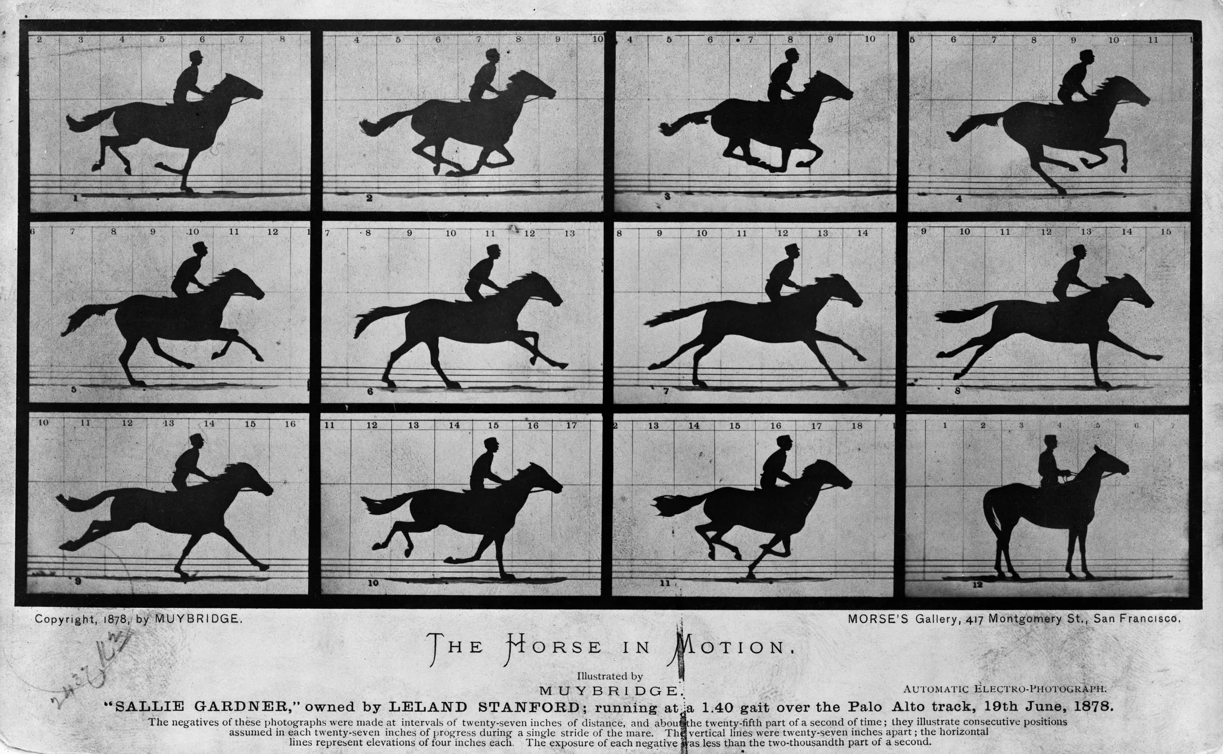 Sixteen silhouetted frames of a jockey on a galloping horse, arranged in a grid