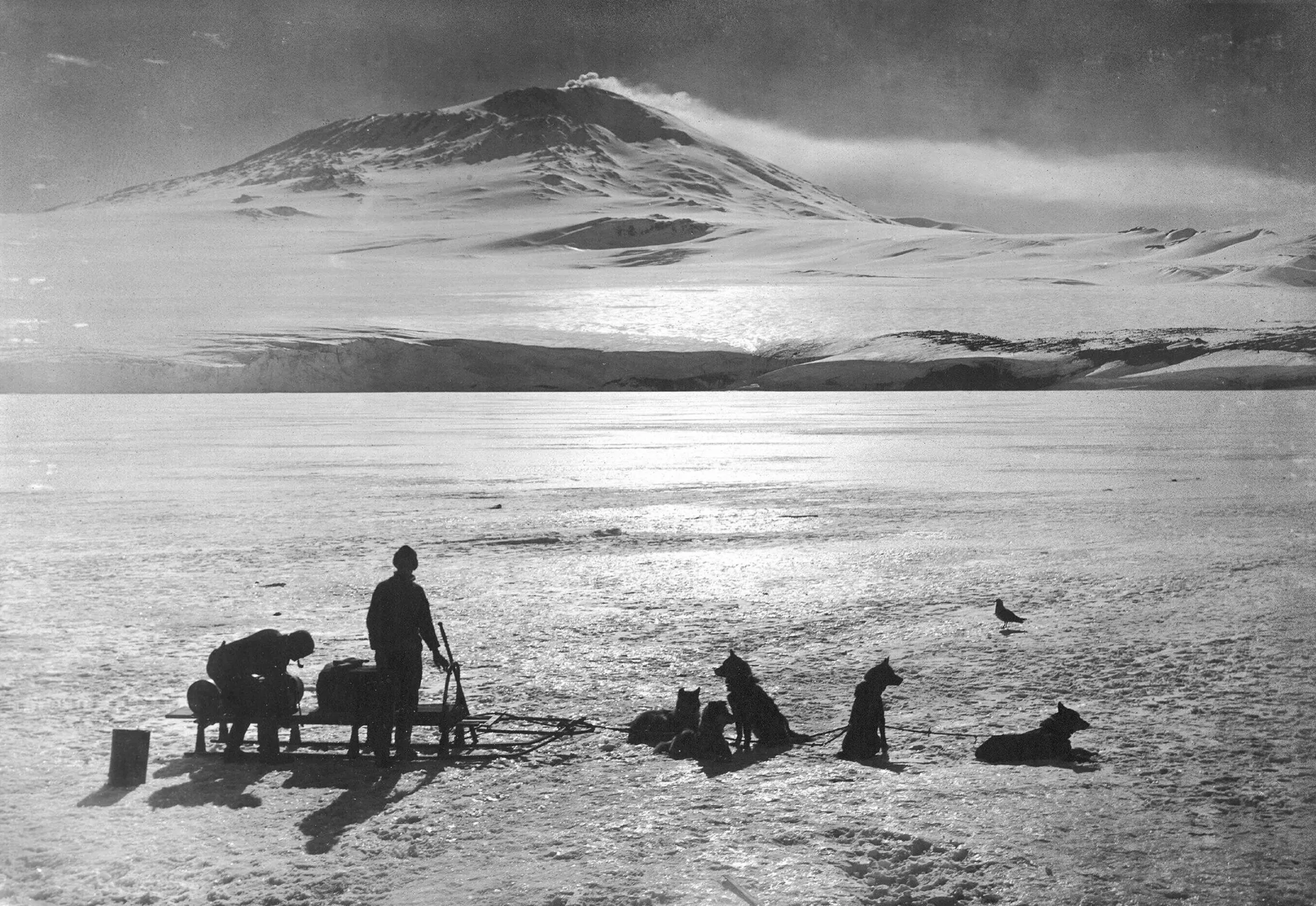 Two men and a sledge with resting dogs silhouetted on bright sea ice, with a smoking snow-covered volcano rising far behind them