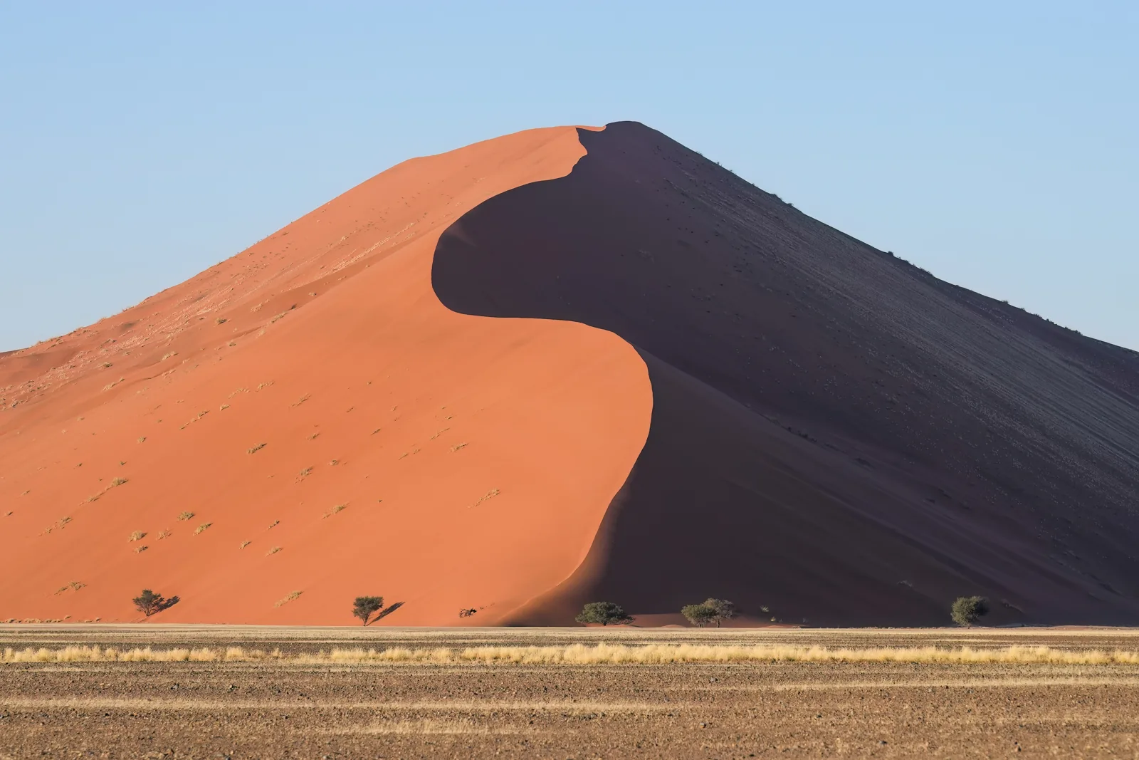 Sandpiles and Crashes: How Systems Tune Themselves to the Brink